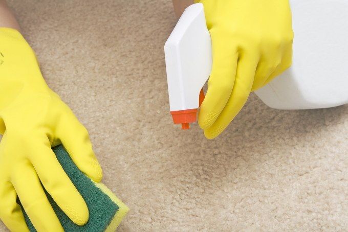 carpet cleaning