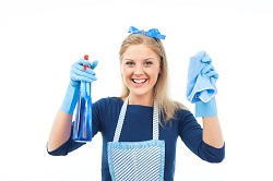 Tower Hamlets domestic steam oven cleaners E3