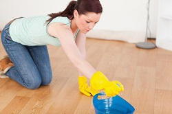 KT24 regular domestic cleaning Effingham