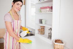N13 regular domestic cleaning Palmers Green