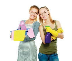 DA12 contract school cleaning services Singlewell
