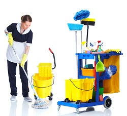 Staines fabric cleaning companies in TW19