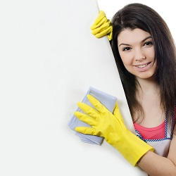 Stevenage fabric cleaning companies in SG1